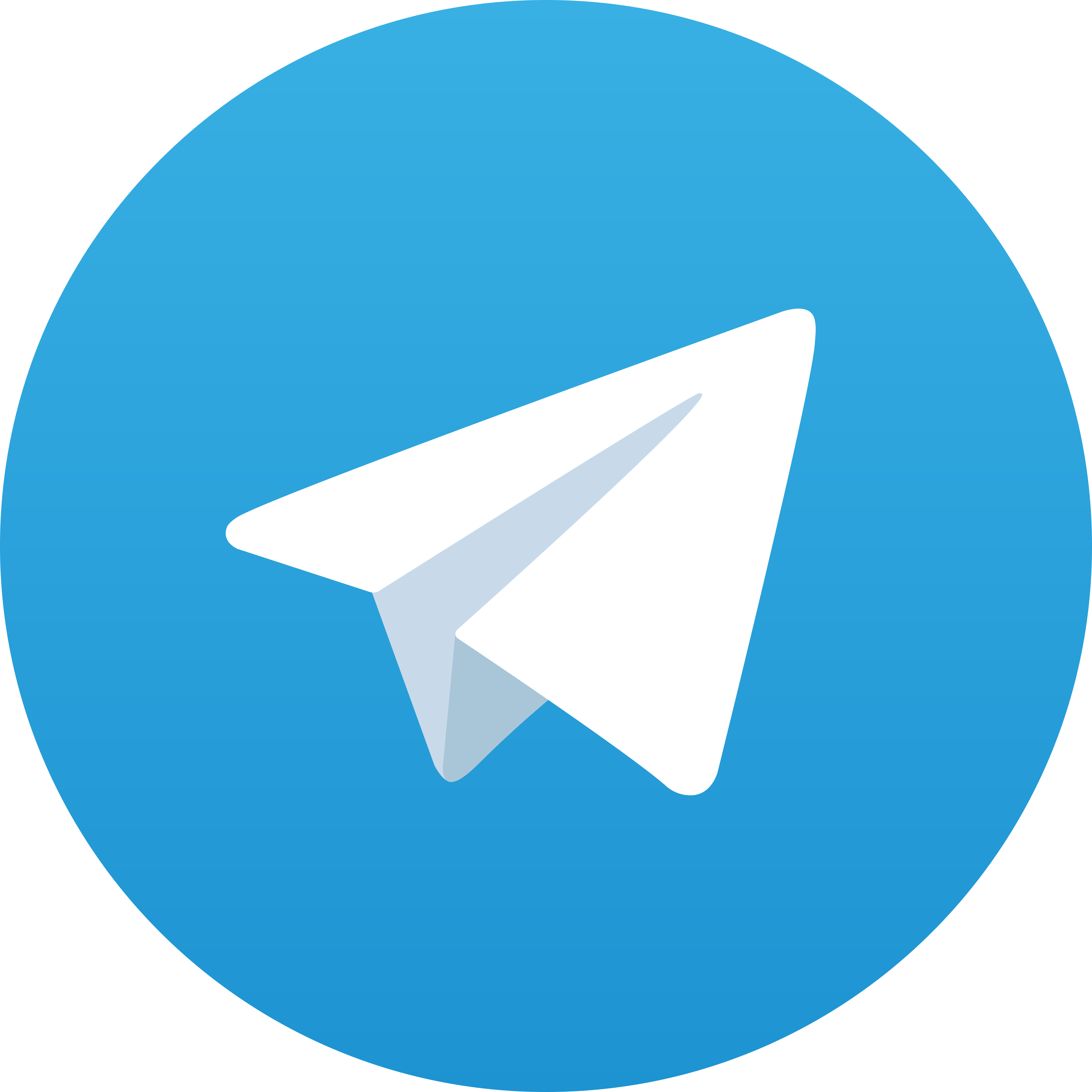 Telegram RUDI4D